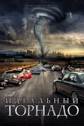Идеальный торнадо 2002 постер