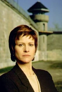 Постер The Warden 2001