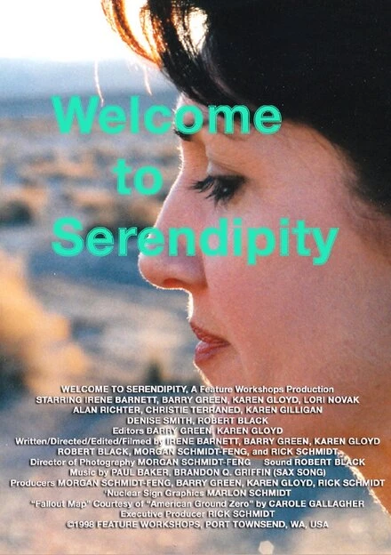 Постер Welcome to Serendipity