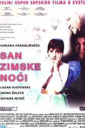 Сон в зимнюю ночь 2004 постер