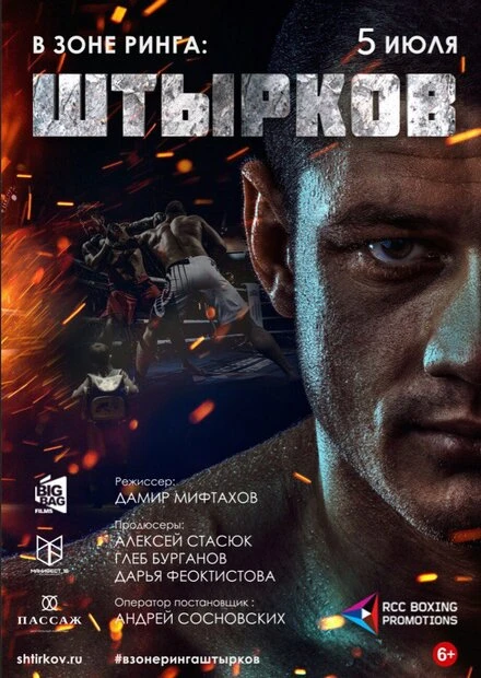 Постер В зоне ринга: Штырков 2017