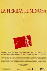 Легкое ранение 1997 постер
