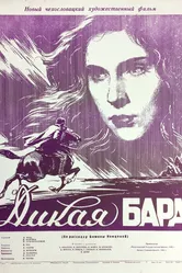 Дикая Бара 1949 постер