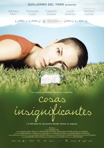 Постер Неважные вещи 2008