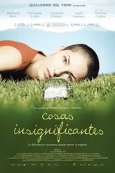 Неважные вещи 2008 постер