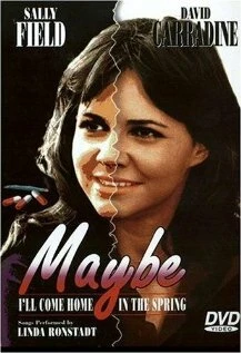 Постер Возможно я вернусь домой весной 1971