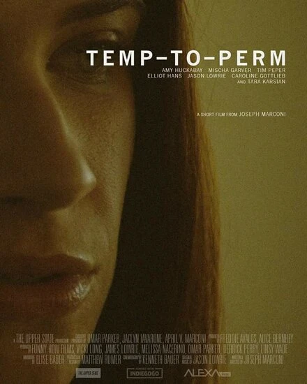 Постер Temp-To-Perm