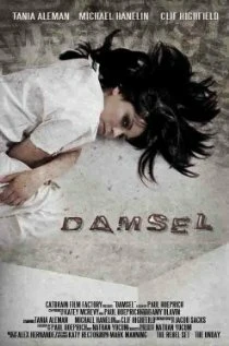 Постер Damsel 2012
