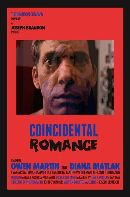 Постер Coincidental Romance 2015