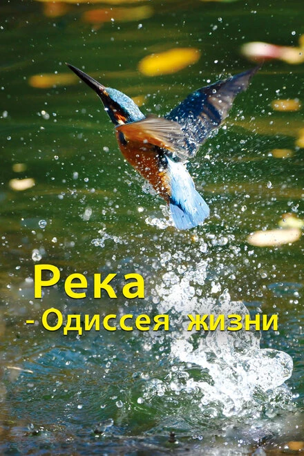 Постер Река — одиссея жизни 2013