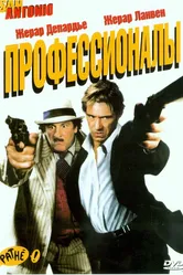 Профессионалы 2004 постер