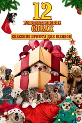 12 рождественских собак: Спасение приюта для щенков 2012 постер