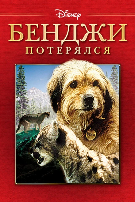 Постер Бенджи потерялся 1987