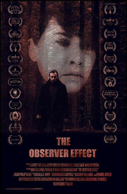 Постер The Observer Effect 2017
