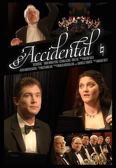 Постер Accidental