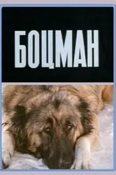 Боцман 1975 постер