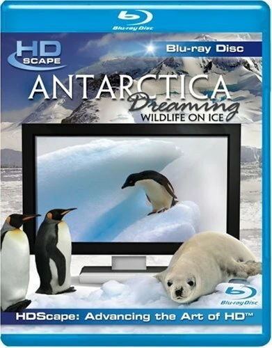 Постер Антарктика — Дикая жизнь на льду 2006
