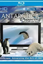 Антарктика — Дикая жизнь на льду 2006 постер