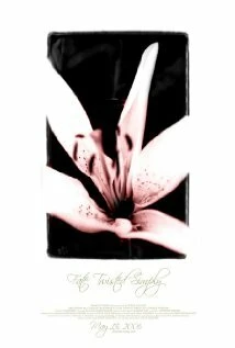 Постер Fate Twisted Simply