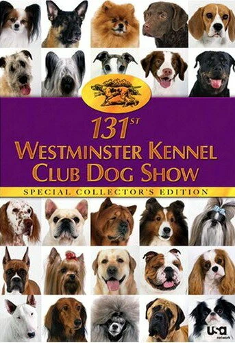 Постер The 131st Westminster Kennel Club Dog Show