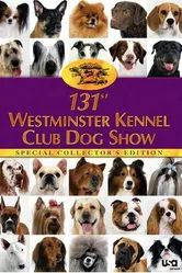 The 131st Westminster Kennel Club Dog Show постер