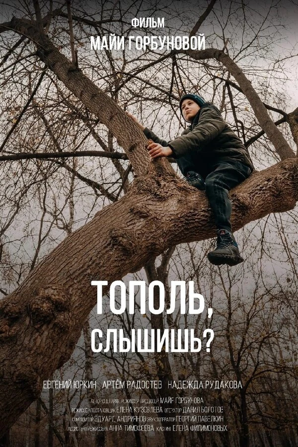 Постер фильма