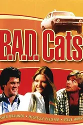 BAD Cats постер