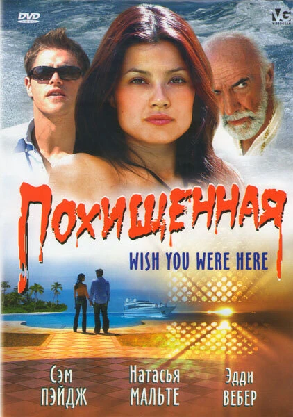 Постер Похищенная 2005