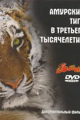 Амурский тигр в третьем тысячелетии 2010 постер