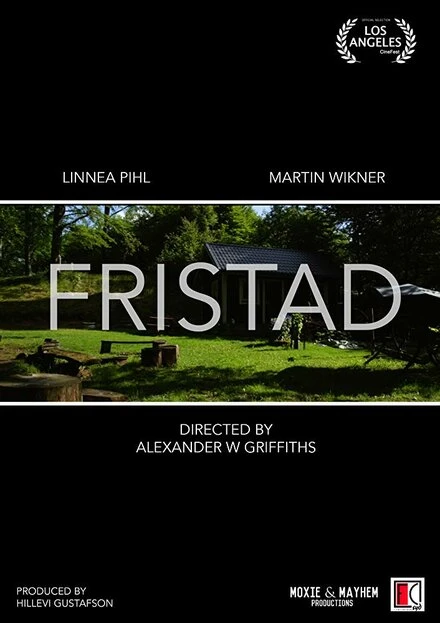 Постер Fristad