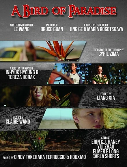 Постер A Bird of Paradise