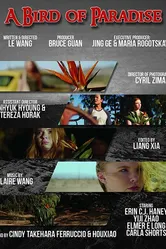A Bird of Paradise постер
