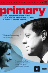 Предварительные выборы 1960 постер