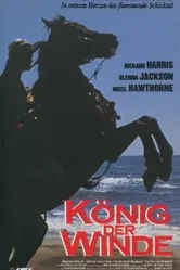 Быстрее ветра 1990 постер