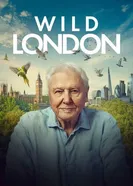 Дикий Лондон постер