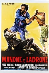 Manone il ladrone постер