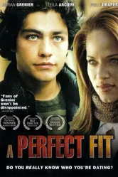 Идеальный вариант 2005 постер