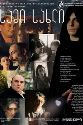 Три дома 2009 постер