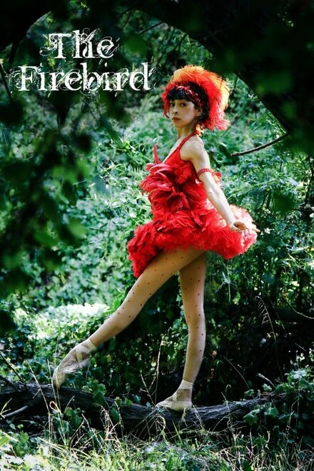 Постер The Firebird 2013