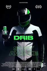 DRIB постер
