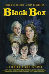Black Box 2013, США постер