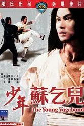 Молодой бродяга 1985 постер