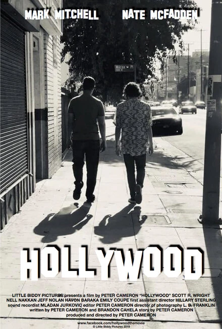 Постер Hollywood 2020