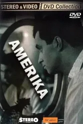 Америка 1994, Чехия постер