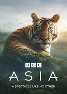 Asia постер
