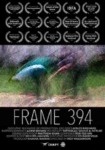 Постер Frame 394