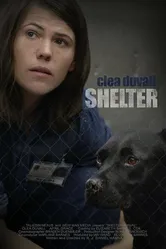 Shelter 2015, США постер