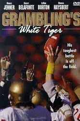 Grambling's White Tiger постер