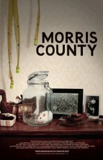 Постер Morris County