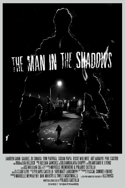 Постер The Man in the Shadows 2014